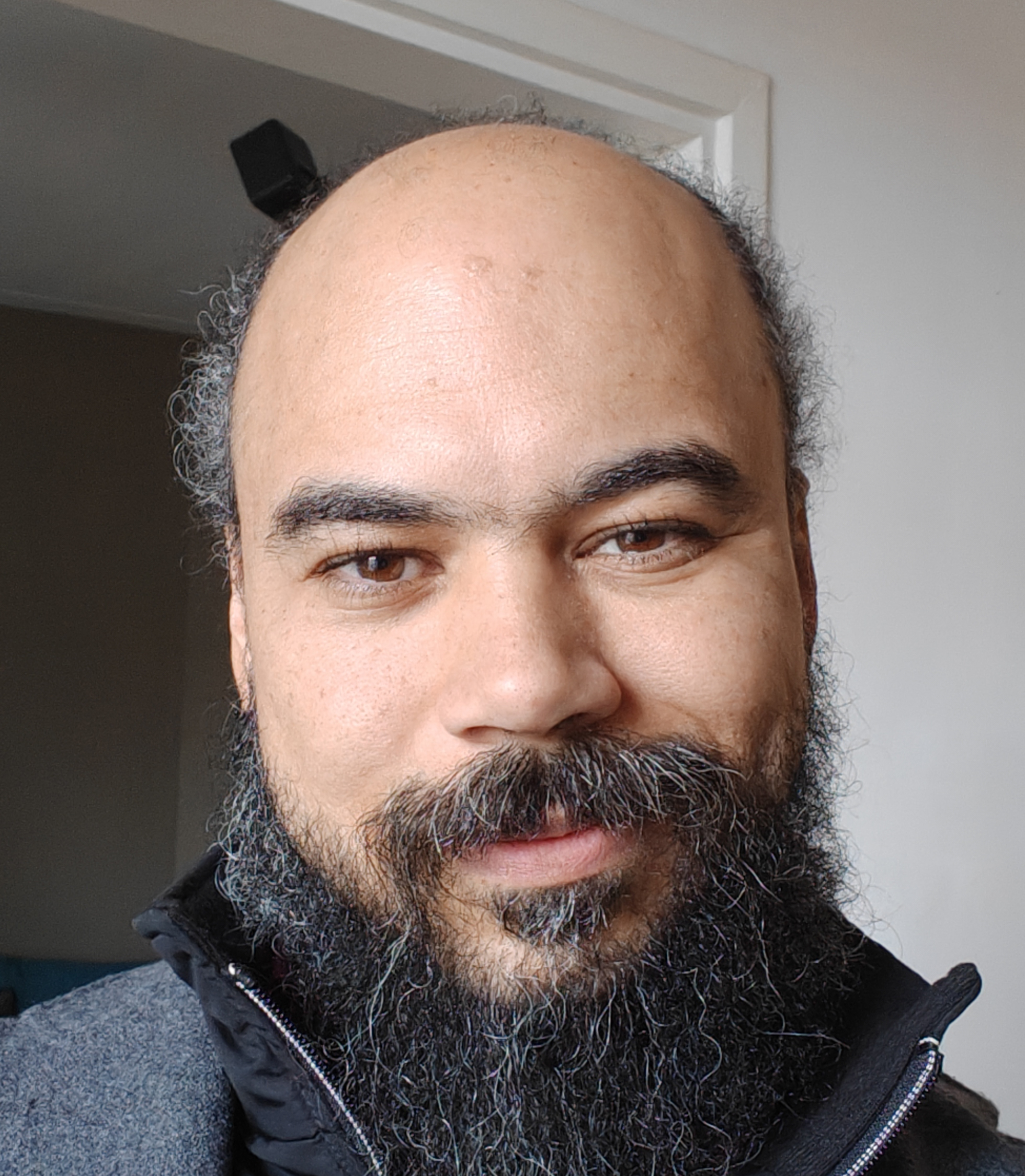 Portrait of the Developer